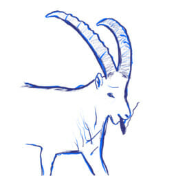 illustration of a goat with long horns smoking a cigar