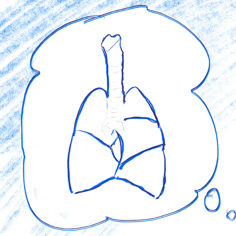 blue marker illustration of anatomically correct lungs